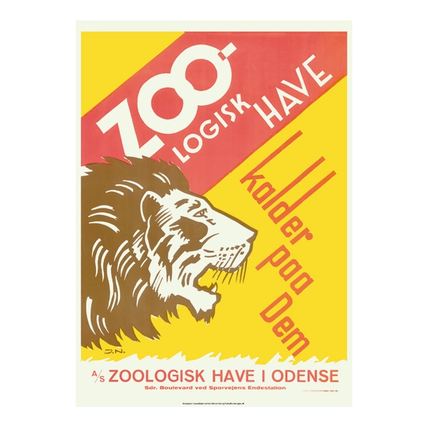 Zoologisk Have - Odense Zoo - Løve
